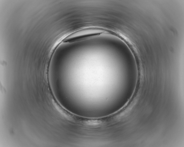 X0000090961137200708091350