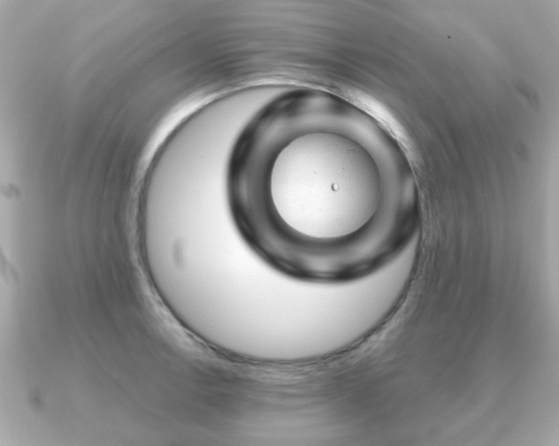 X0000090961138200708091350