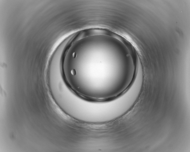 X0000090961140200708091350