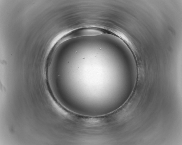 X0000090961141200708091350