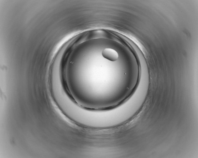 X0000090961142200708091350