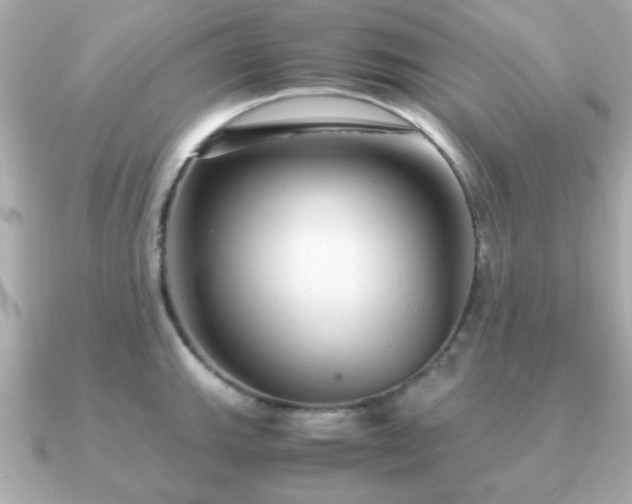 X0000090961143200708091350