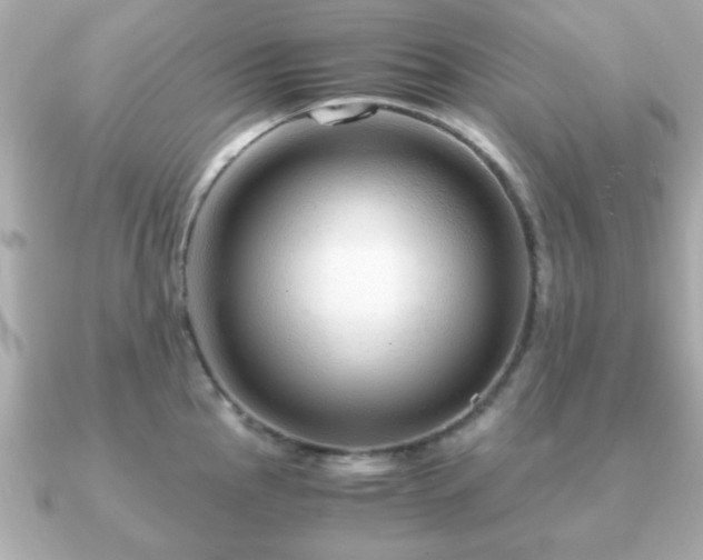 X0000090961145200708091350