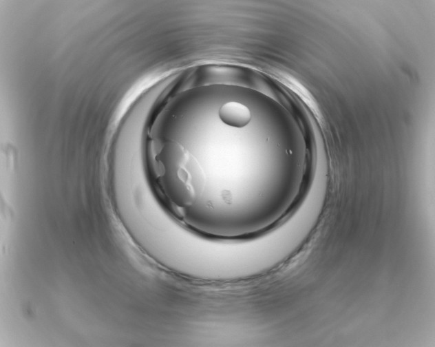 X0000090961146200708091350