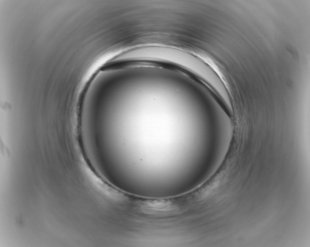 X0000090961147200708091350