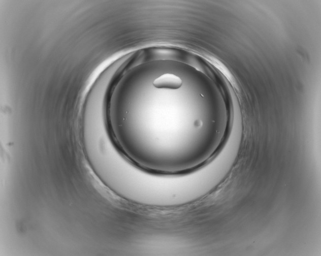 X0000090961148200708091350