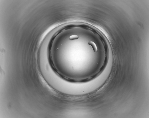X0000090961150200708091350