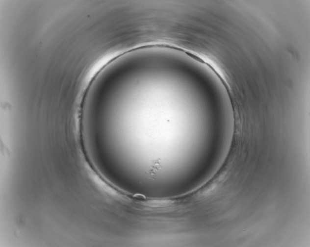 X0000090961151200708091350