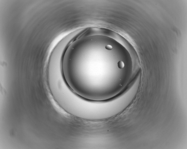 X0000090961152200708091350