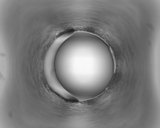 X0000090961153200708091349