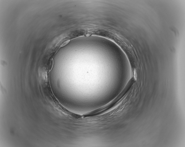 X0000090961155200708091349