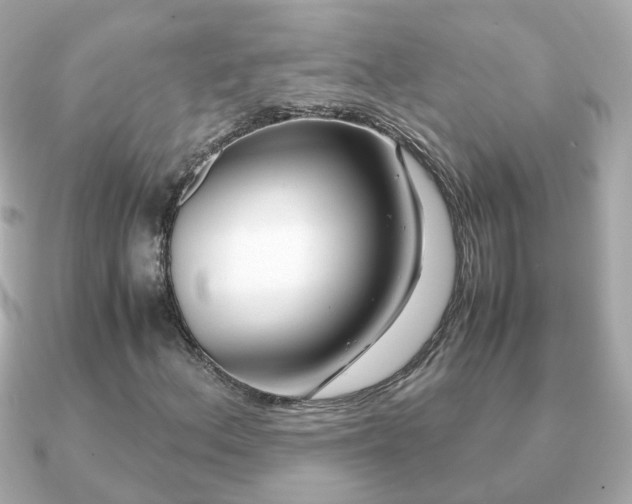 X0000090961156200708091349