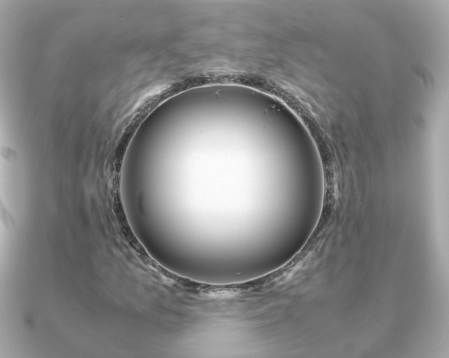 X0000090961157200708091349