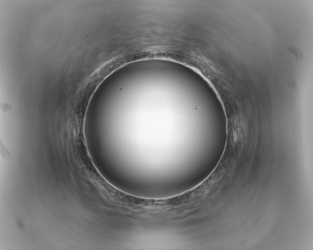 X0000090961158200708091349