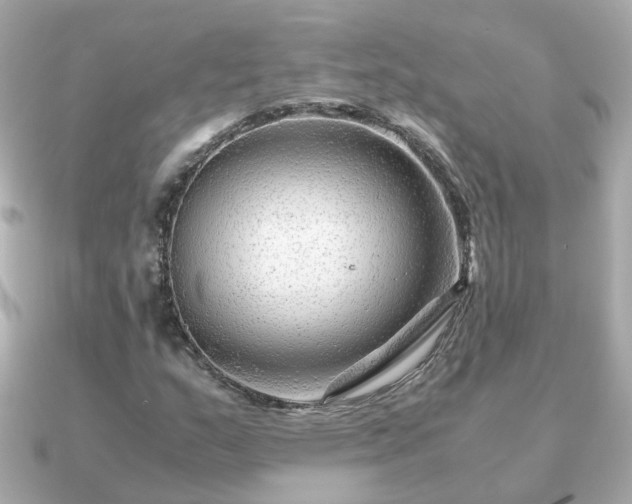 X0000090961159200708091349