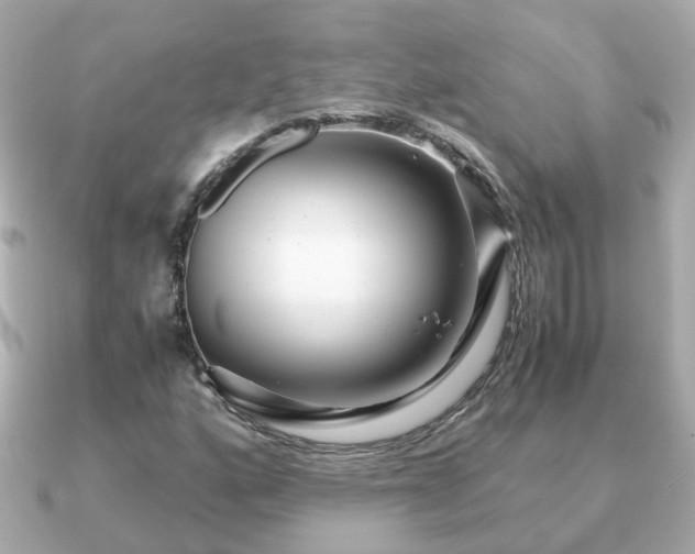 X0000090961160200708091349