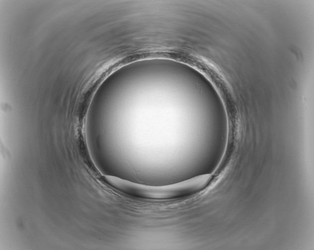 X0000090961161200708091349