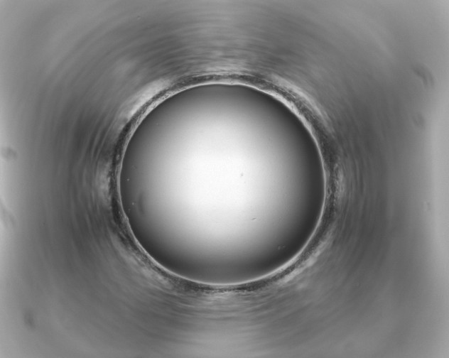 X0000090961162200708091349