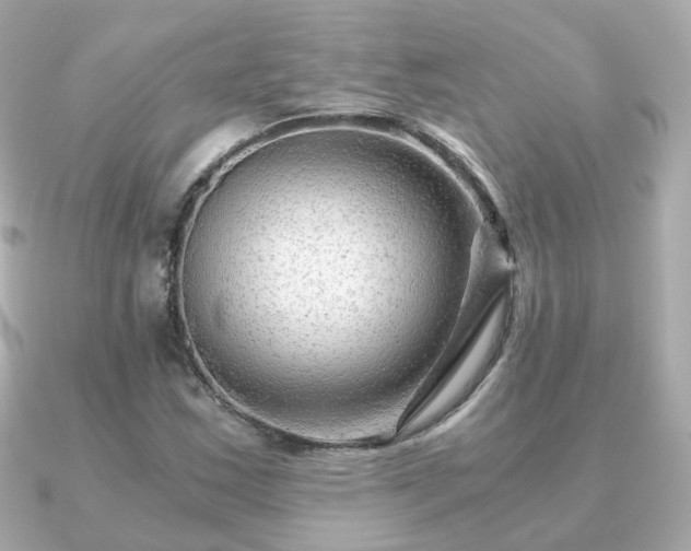 X0000090961163200708091349
