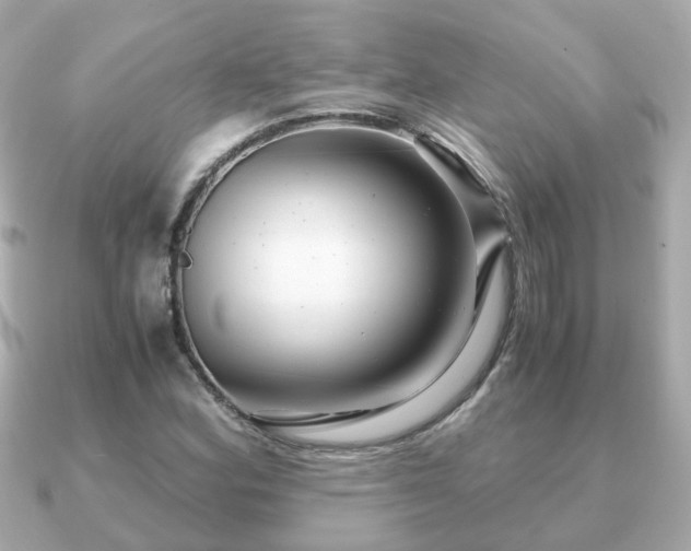 X0000090961164200708091349