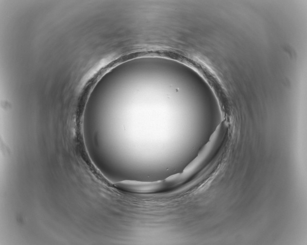 X0000090961165200708091349