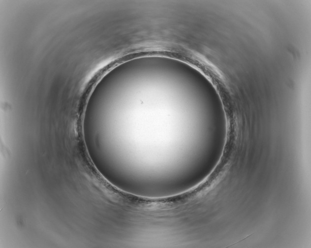 X0000090961166200708091349