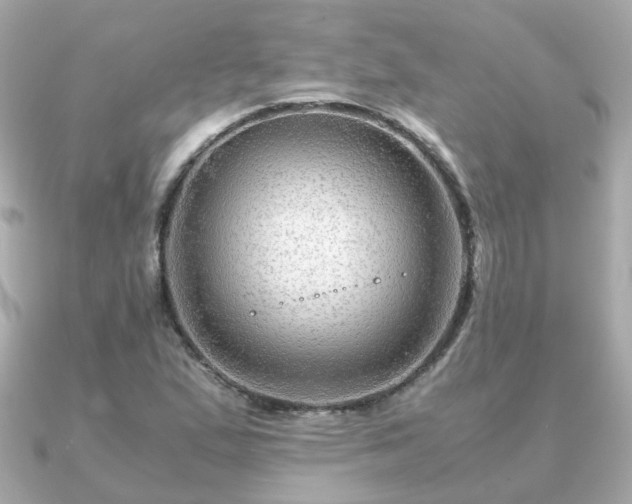 X0000090961167200708091349