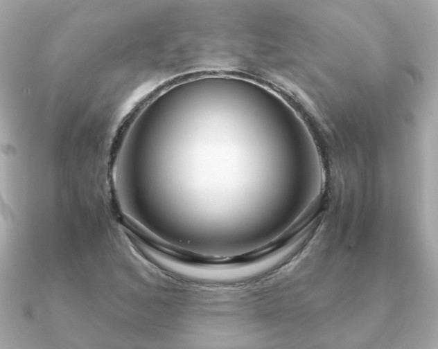 X0000090961168200708091349