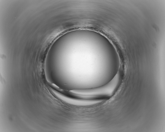 X0000090961169200708091349