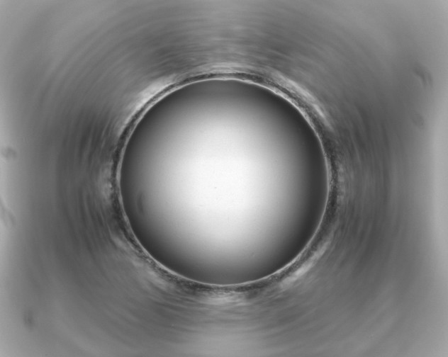 X0000090961170200708091349