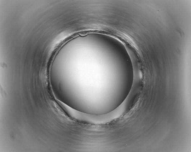 X0000090961172200708091349