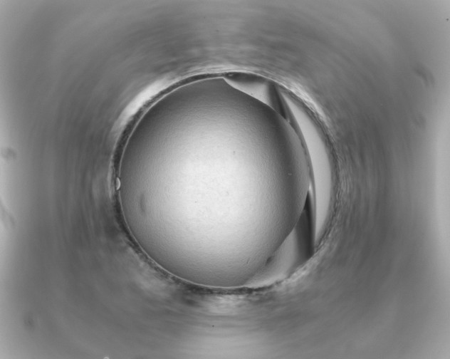 X0000090961173200708091349