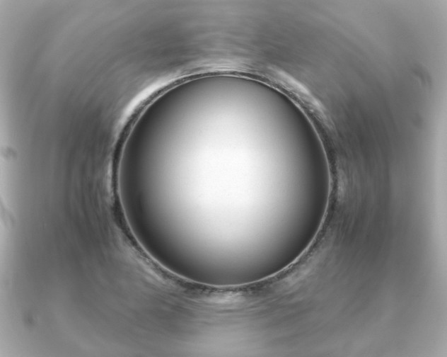 X0000090961174200708091349