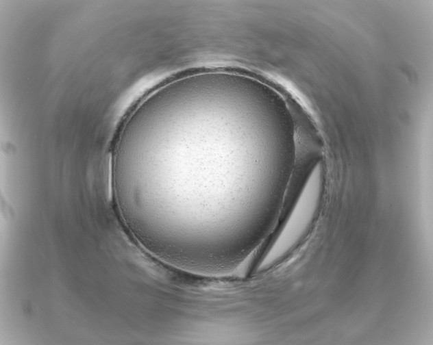 X0000090961175200708091349