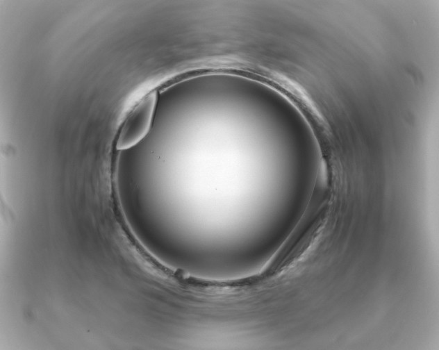 X0000090961176200708091349