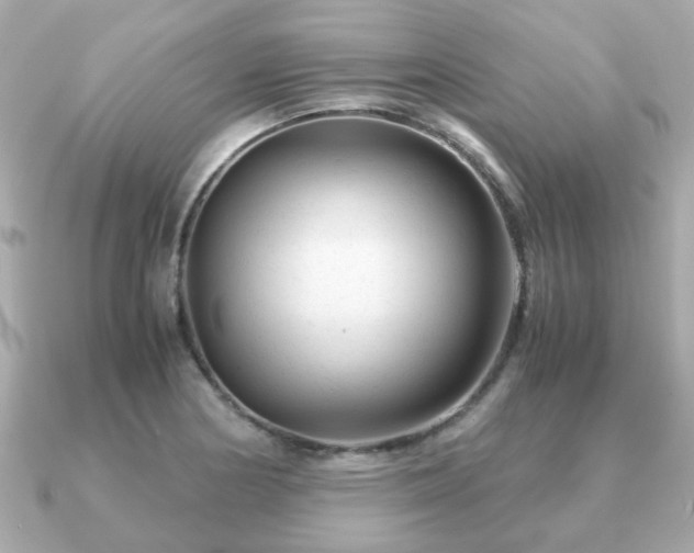 X0000090961178200708091349