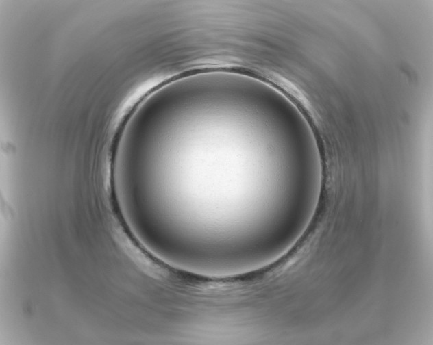 X0000090961179200708091349