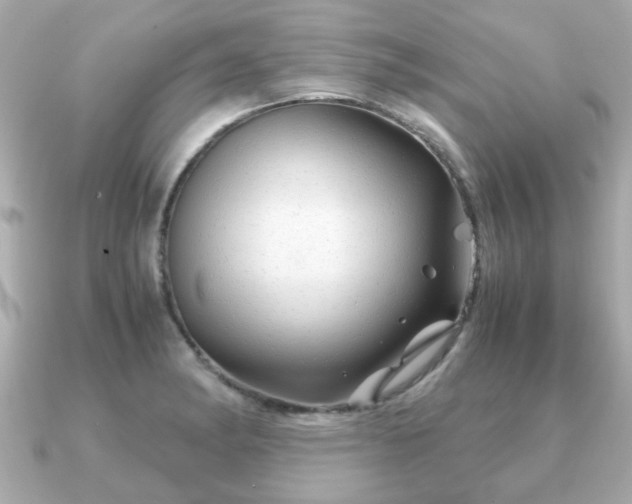 X0000090961182200708091349