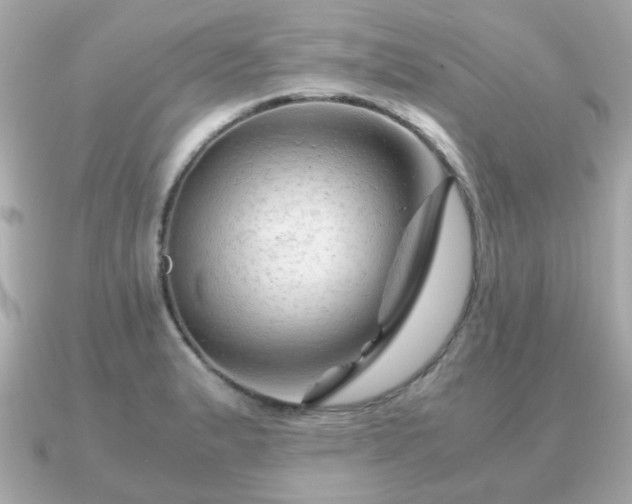 X0000090961183200708091349