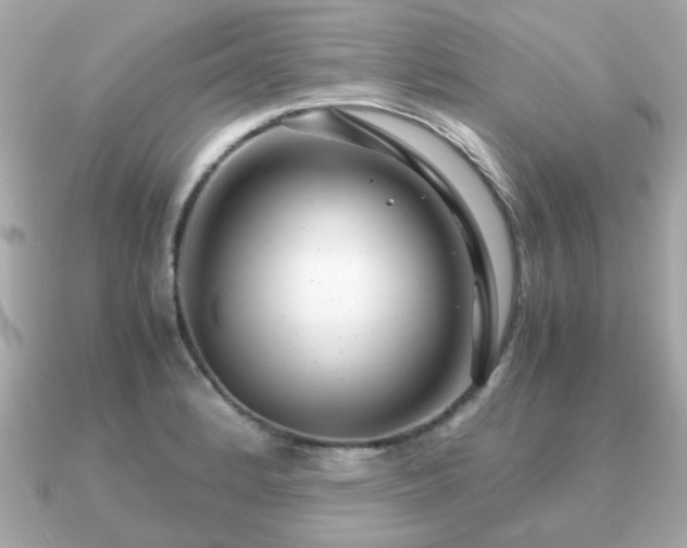 X0000090961184200708091349