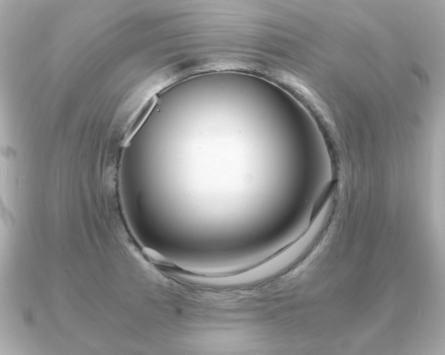 X0000090961185200708091349