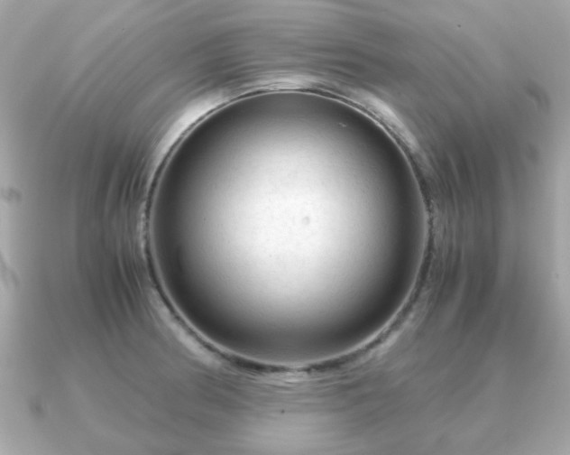 X0000090961186200708091349