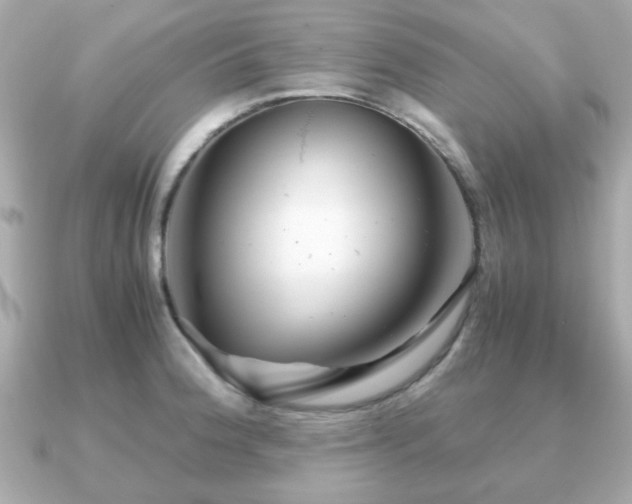 X0000090961188200708091349