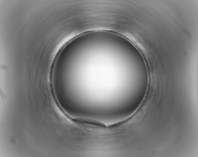 X0000090961189200708091349