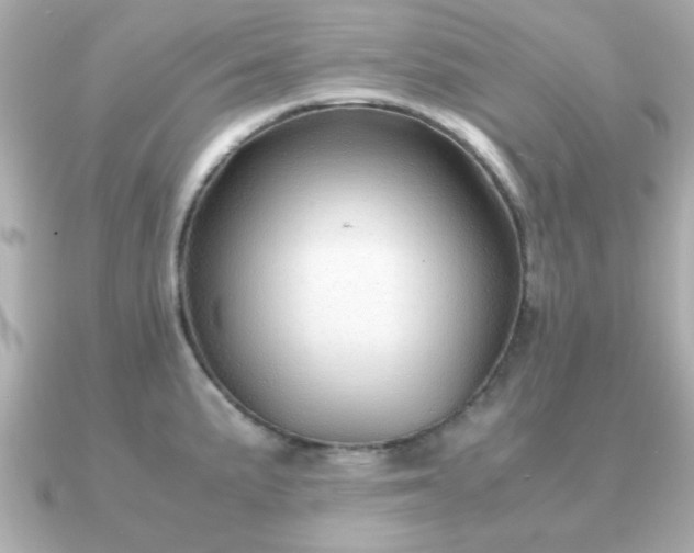 X0000090961191200708091349