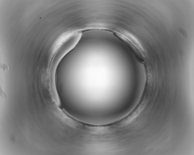 X0000090961192200708091349