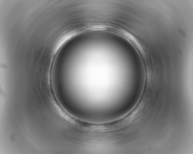 X0000090961194200708091349
