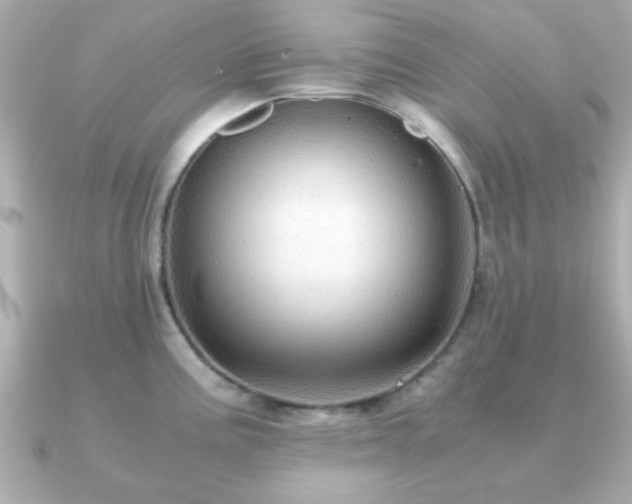 X0000090961195200708091349