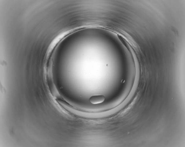 X0000090961196200708091349