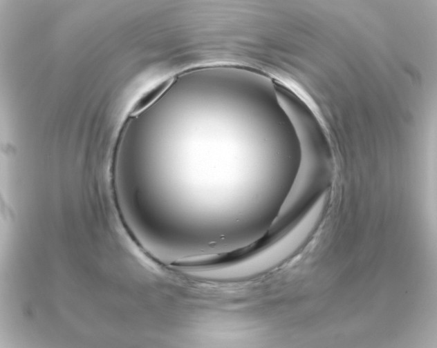 X0000090961197200708091349